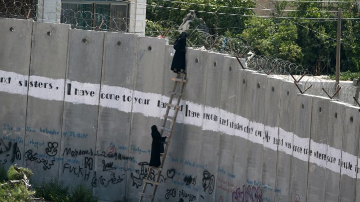 Atef-Safadi Couverture d'un rapport de la Banque mondiale